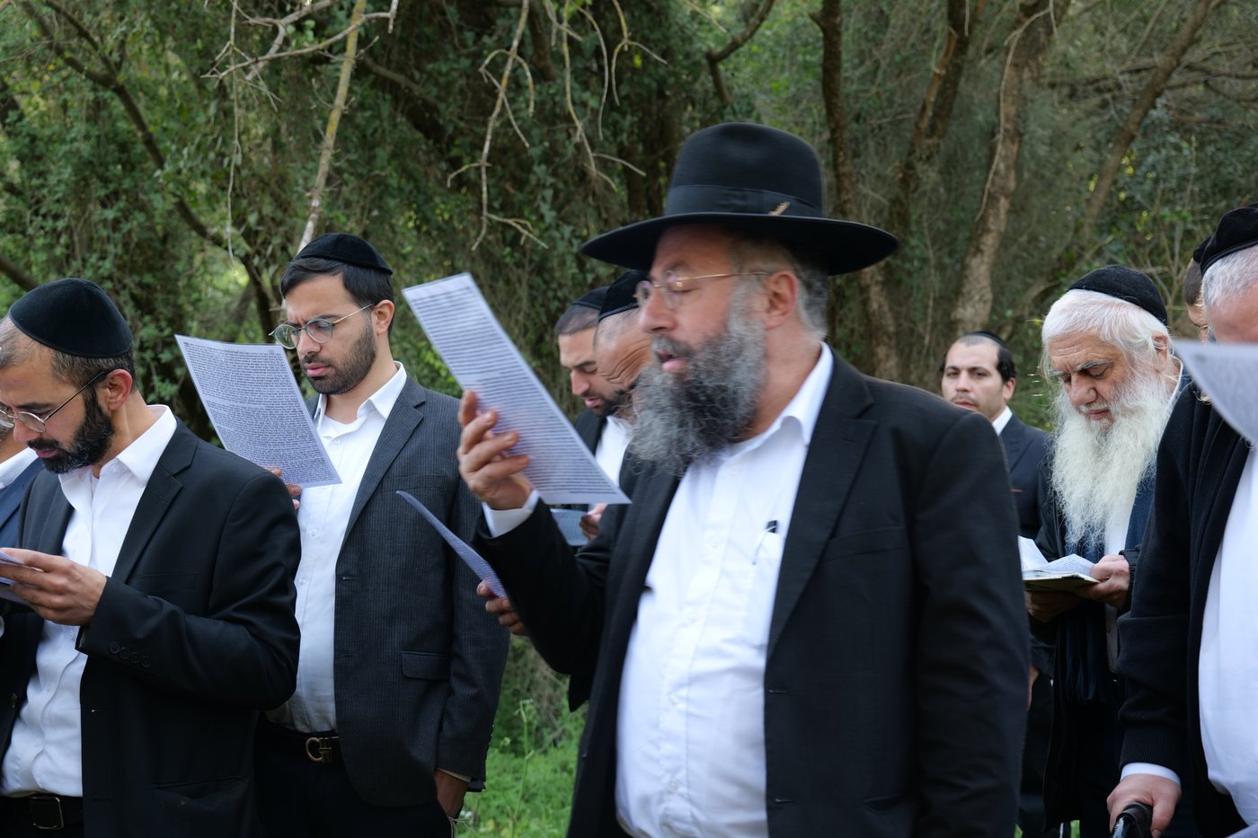 מיד אחרי הנץ: הגאון רבי בנימין חותה ב"ברכת האילנות"