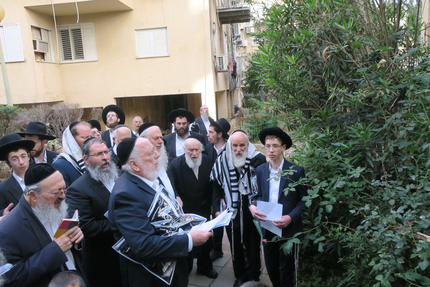 הגר"י זילברשטיין בברכת האילנות