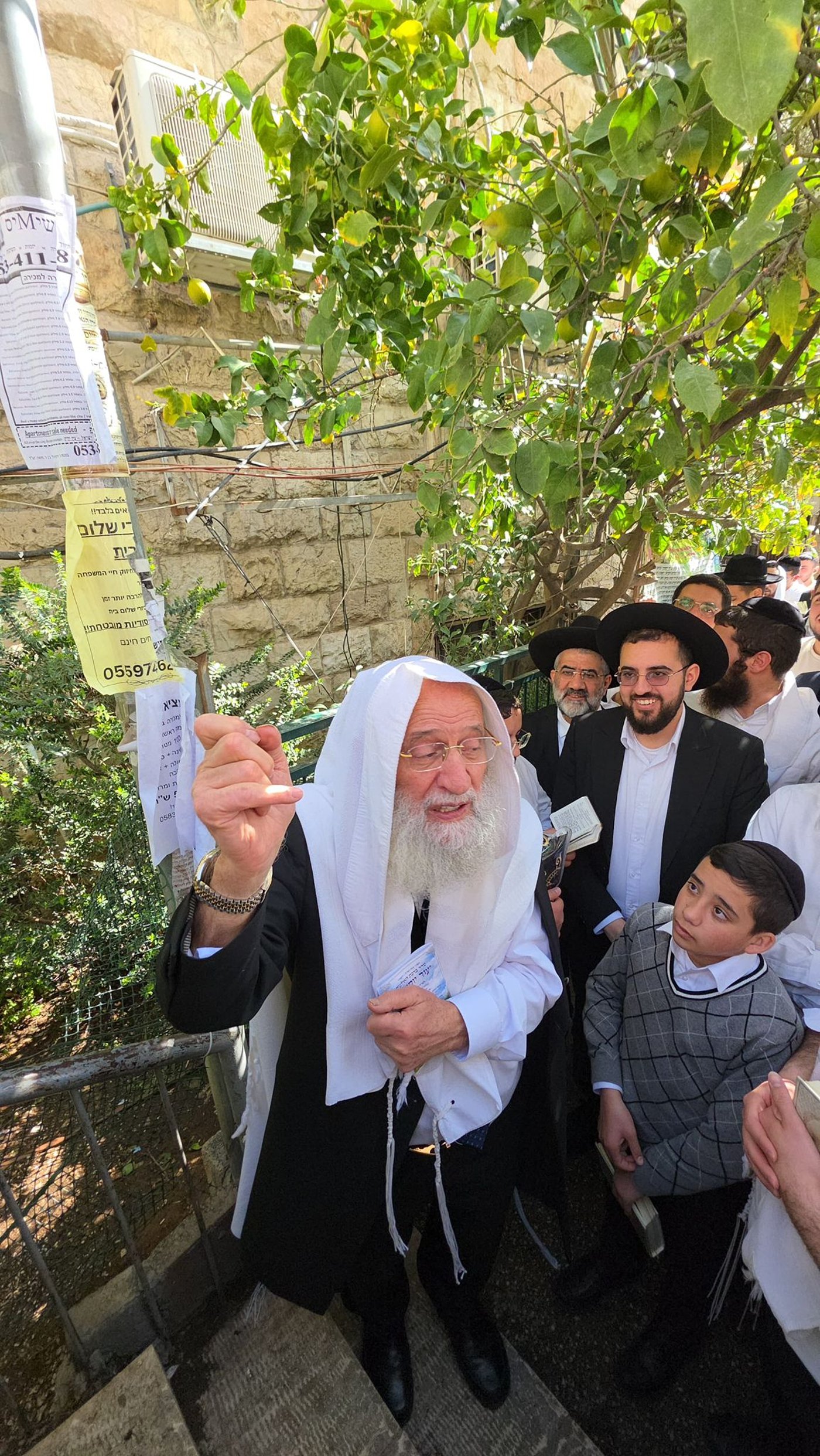 הגר"ר אלבז בברכת האילנות