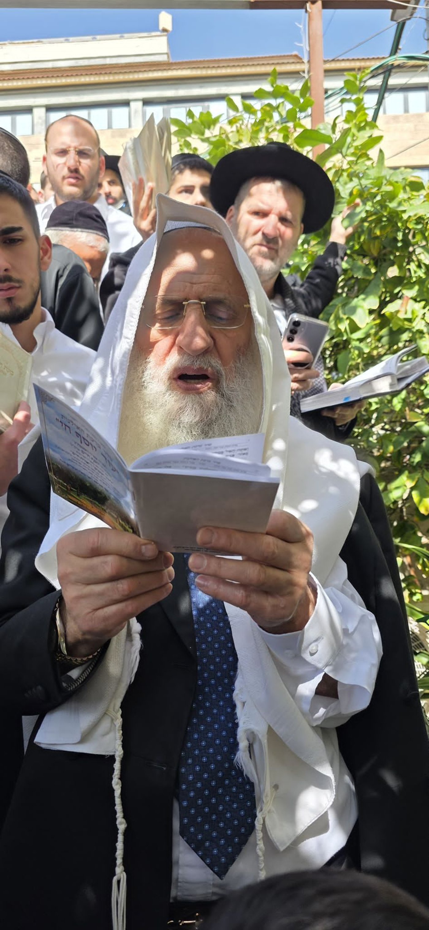 הגר"ר אלבז בברכת האילנות