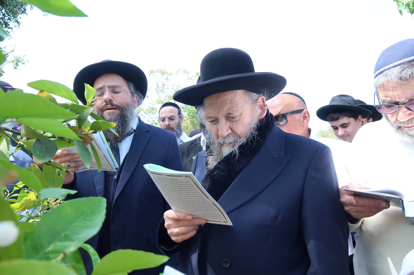 המקובל רבי דוד בצרי בברכת האילנות