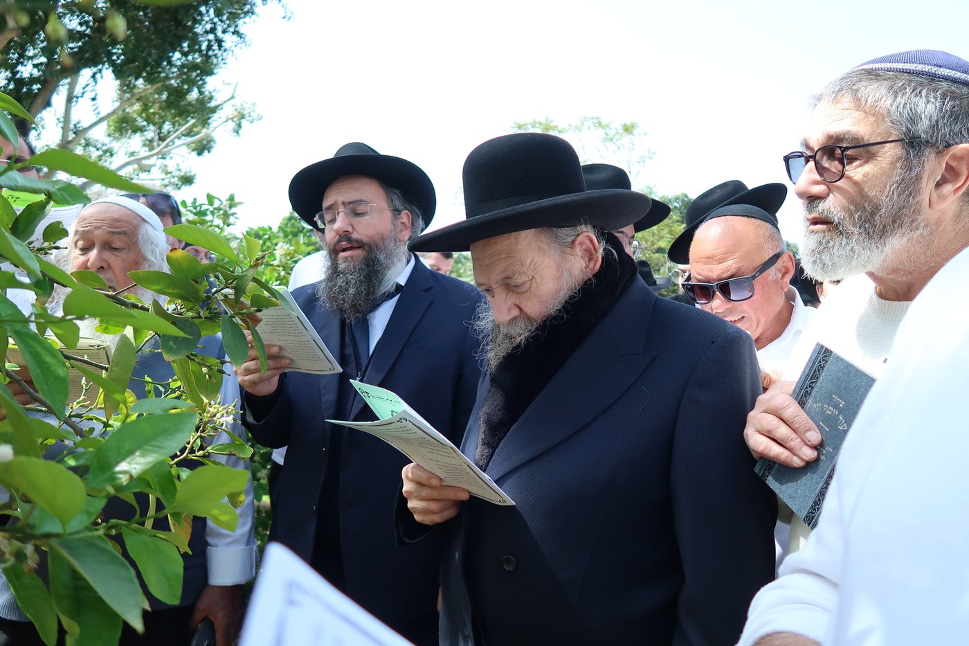 המקובל רבי דוד בצרי בברכת האילנות