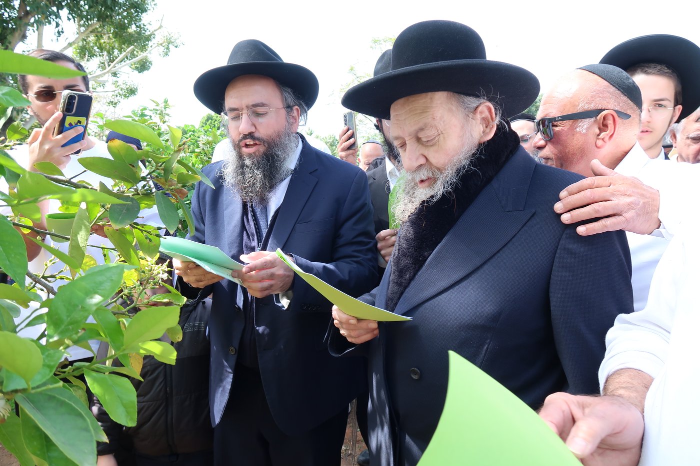 המקובל רבי דוד בצרי בברכת האילנות
