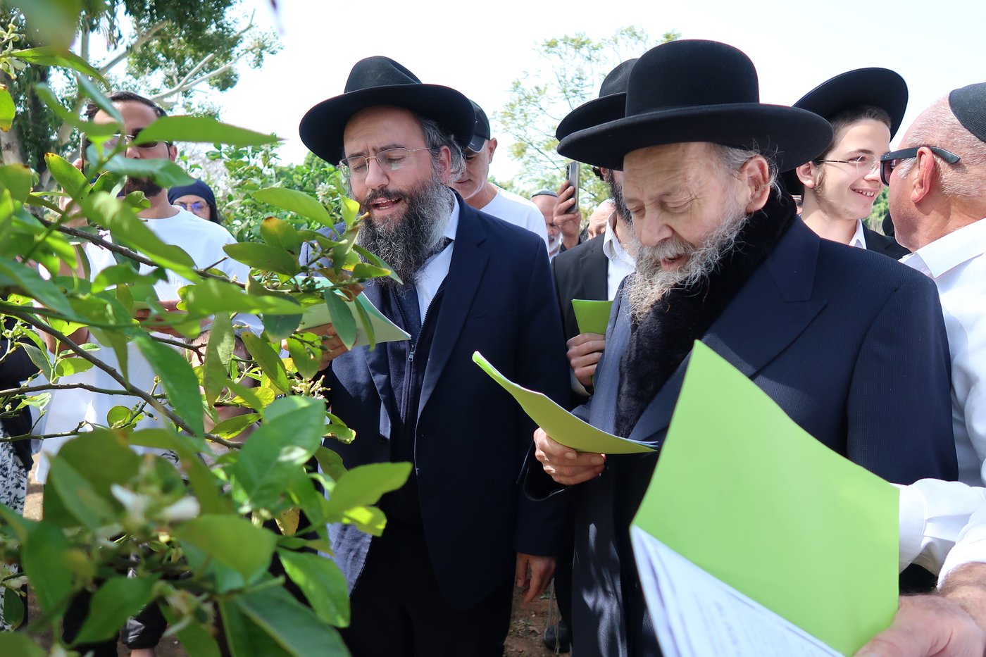 המקובל רבי דוד בצרי בברכת האילנות