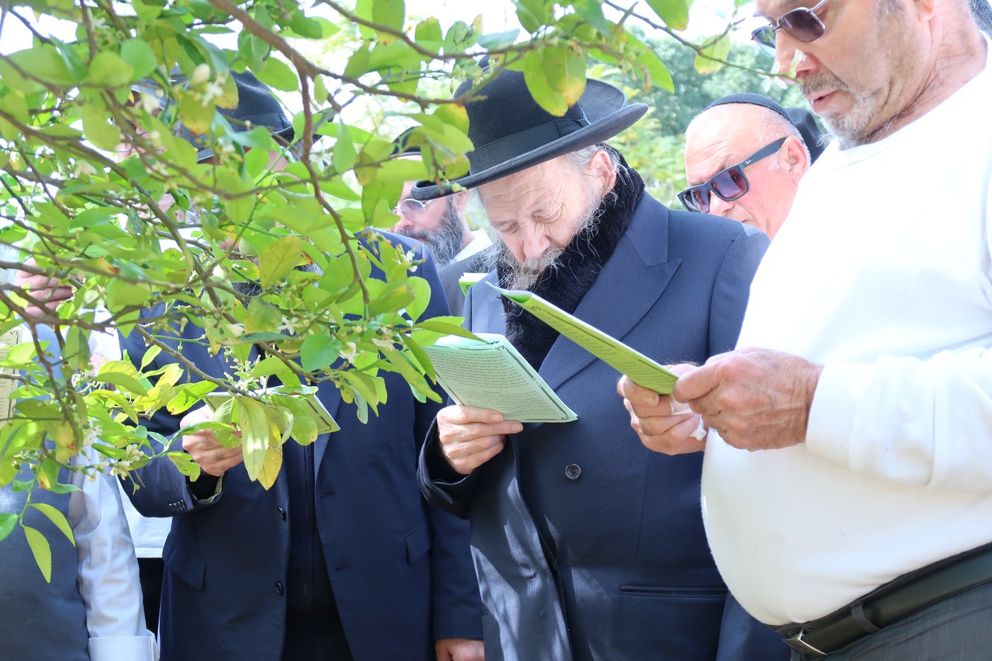 המקובל רבי דוד בצרי בברכת האילנות