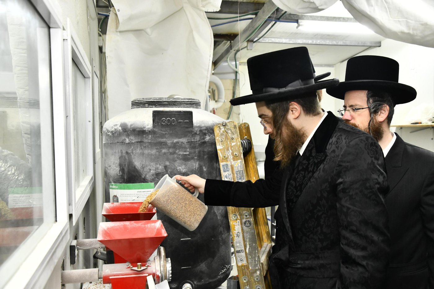 האדמו"ר מסאדיגורה בטחינת חיטים