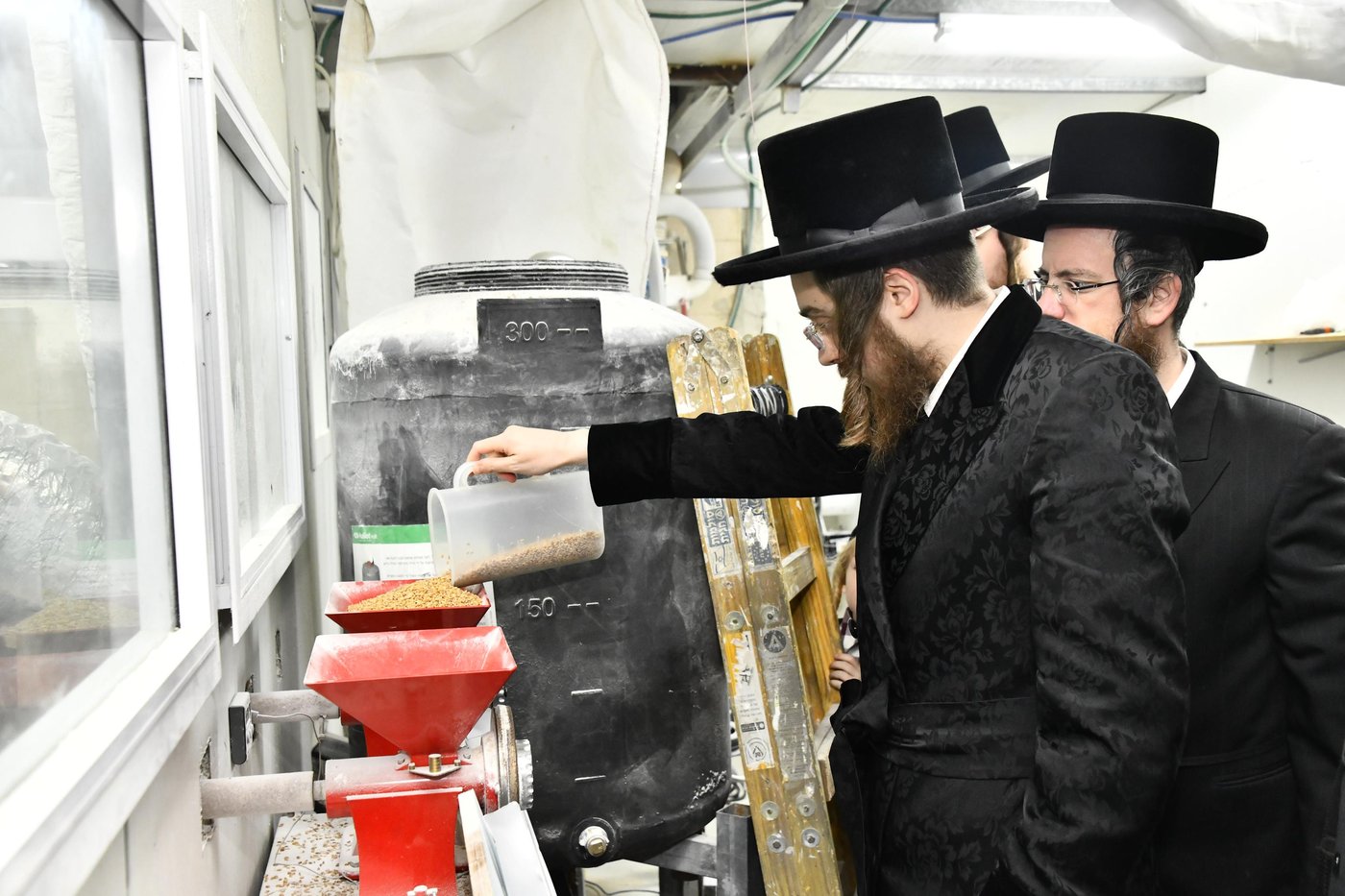 האדמו"ר מסאדיגורה בטחינת חיטים