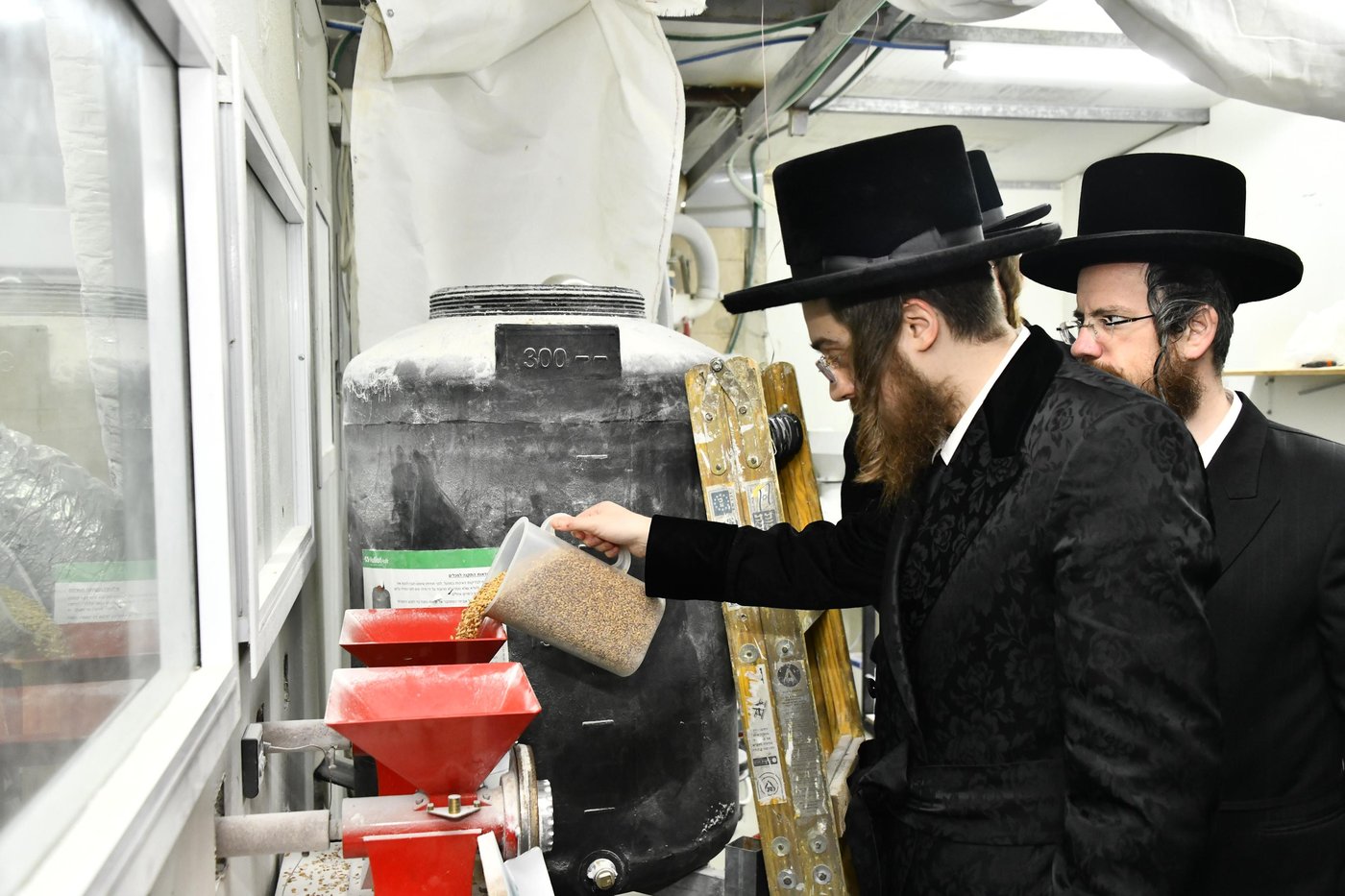 האדמו"ר מסאדיגורה בטחינת חיטים