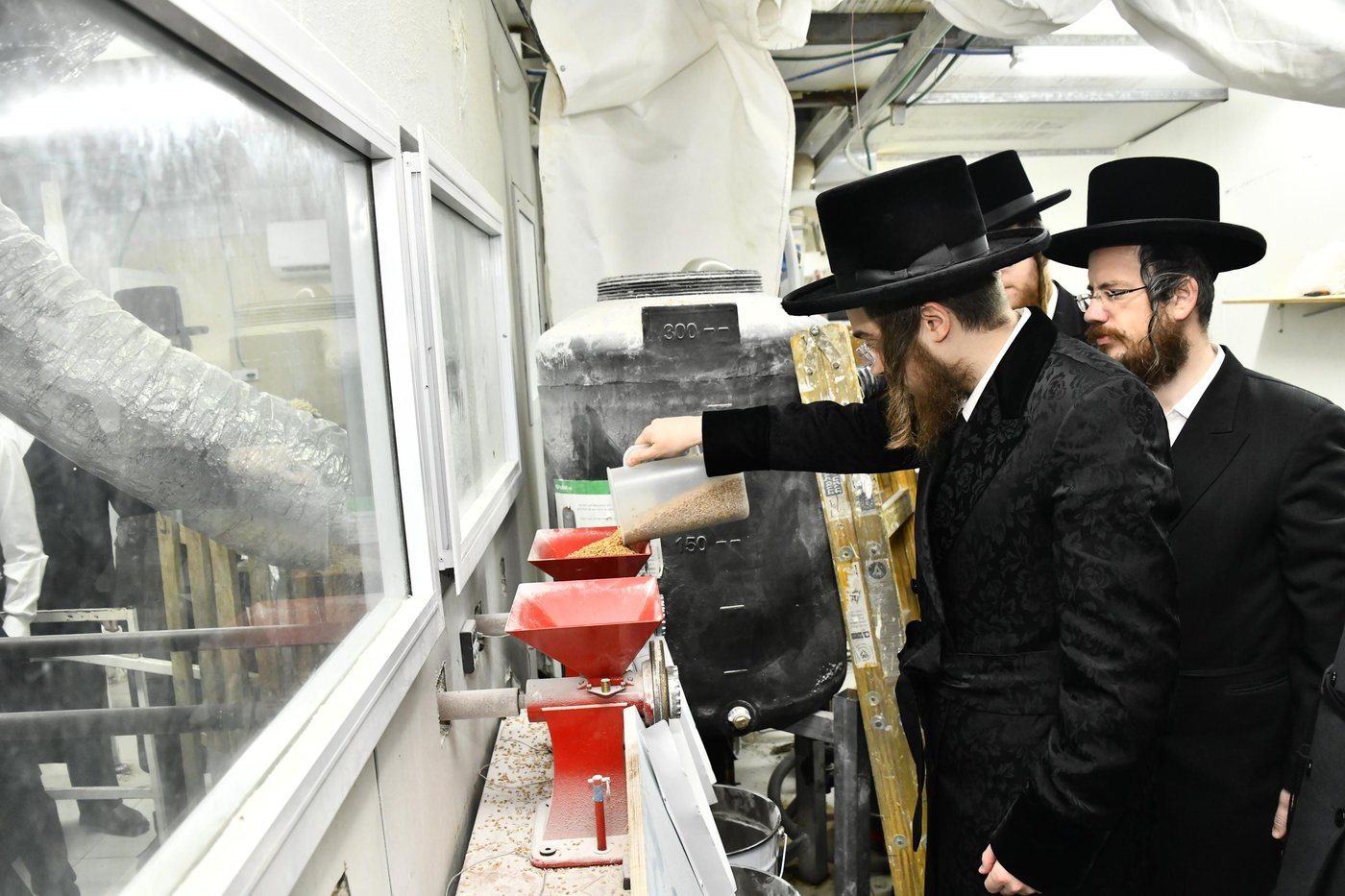 האדמו"ר מסאדיגורה בטחינת חיטים