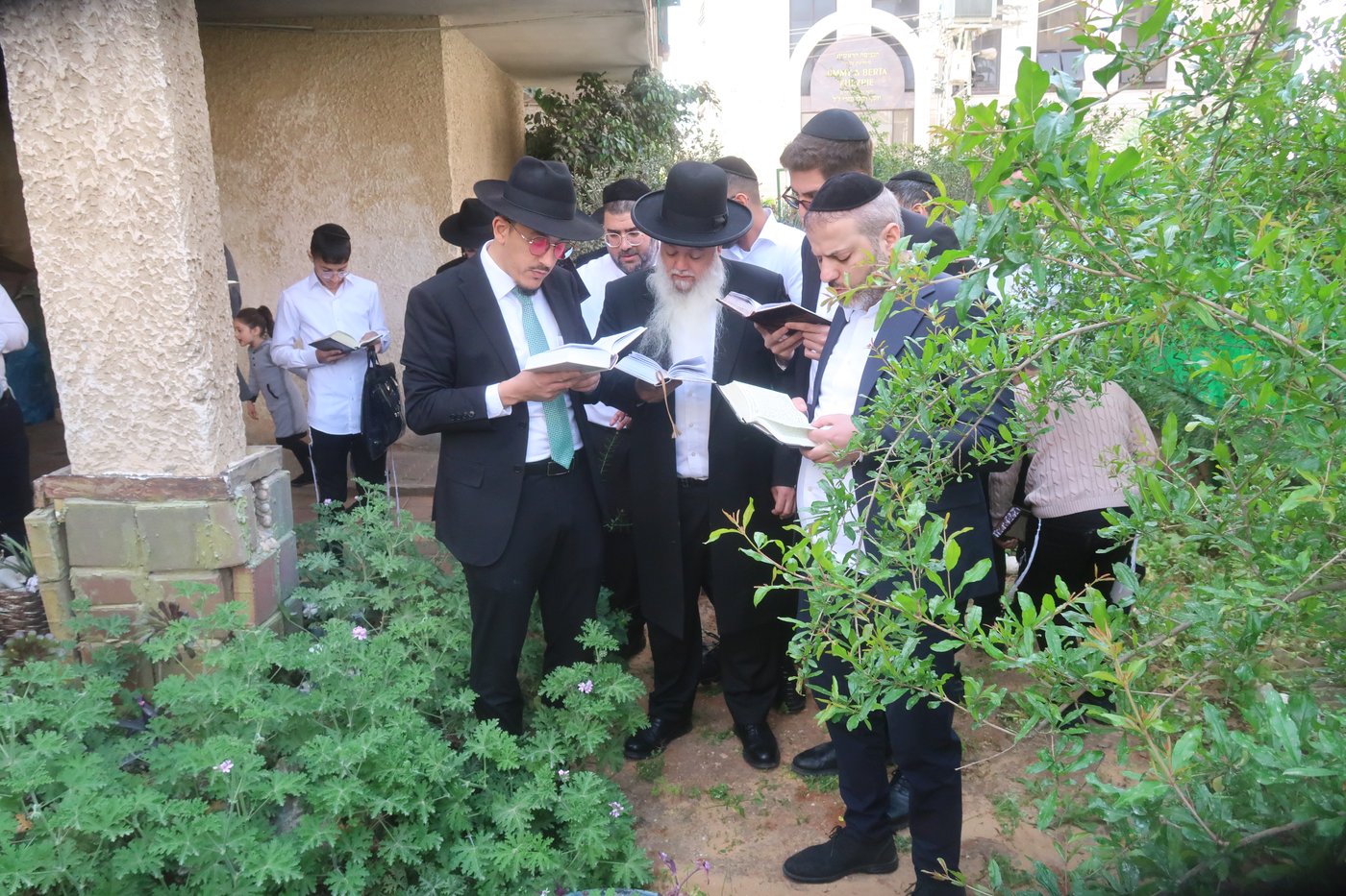 הרב יגאל כהן בברכת האילנות