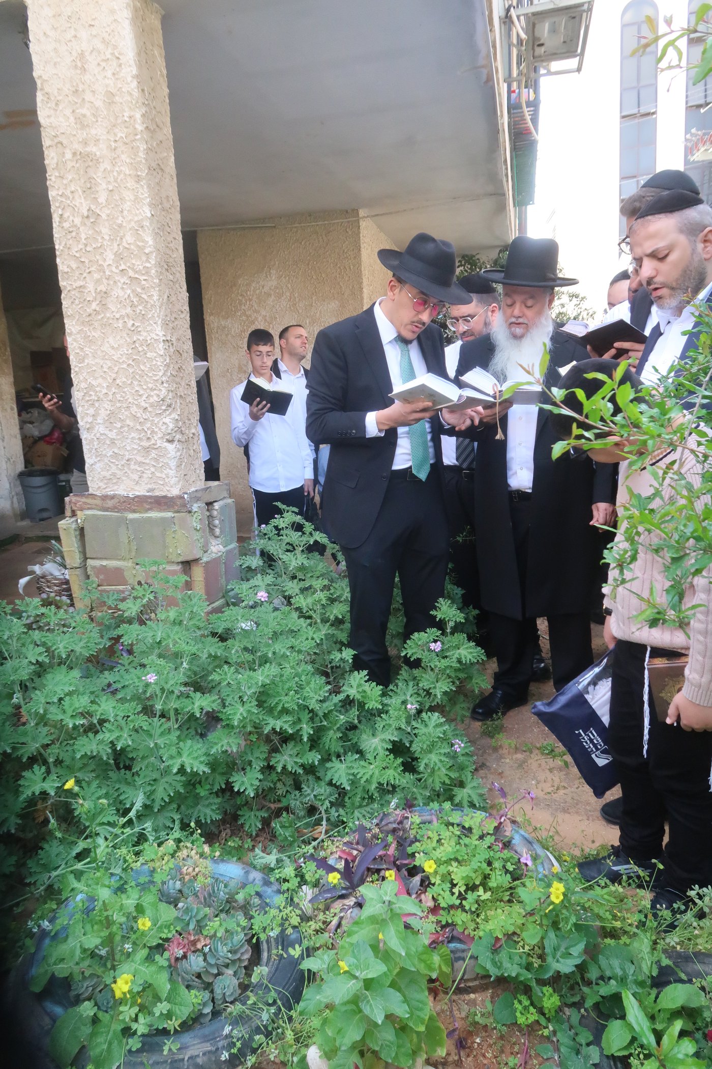 הרב יגאל כהן בברכת האילנות