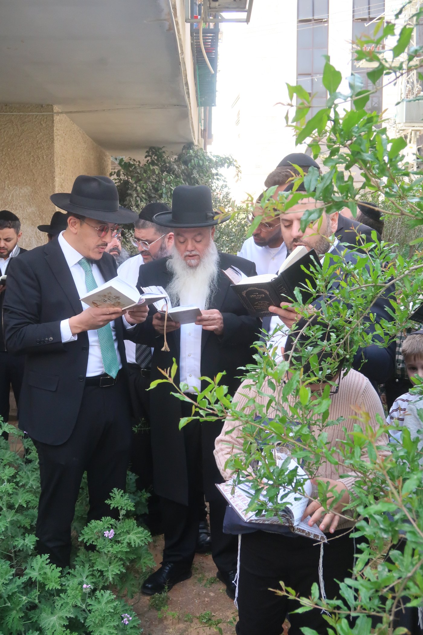 הרב יגאל כהן בברכת האילנות