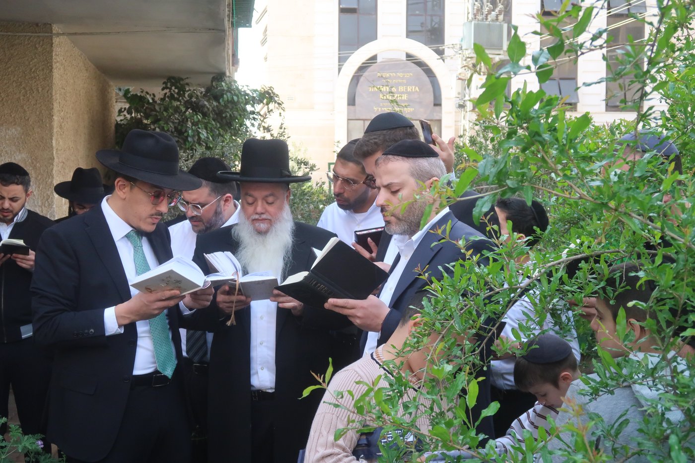 הרב יגאל כהן בברכת האילנות