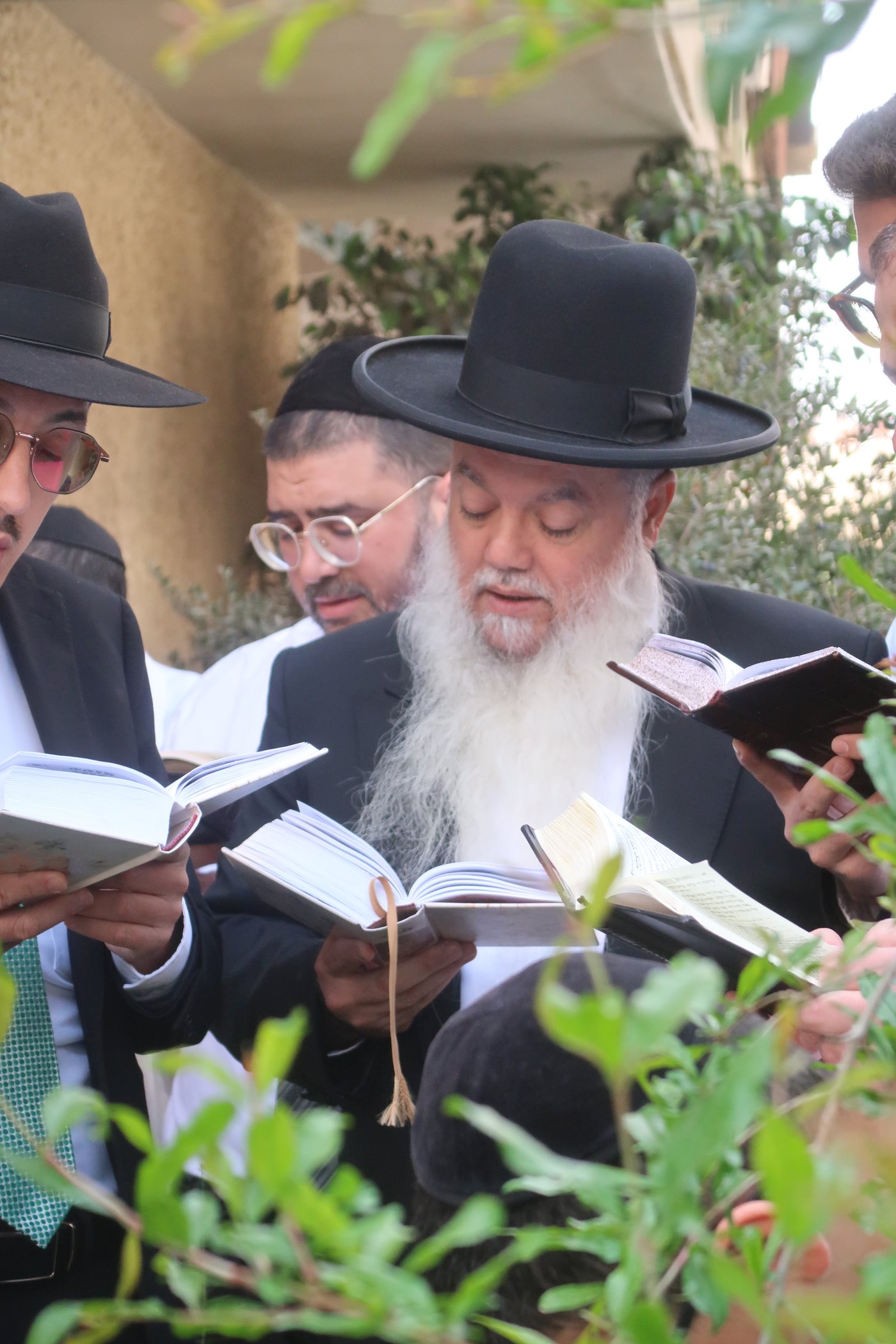 הרב יגאל כהן בברכת האילנות