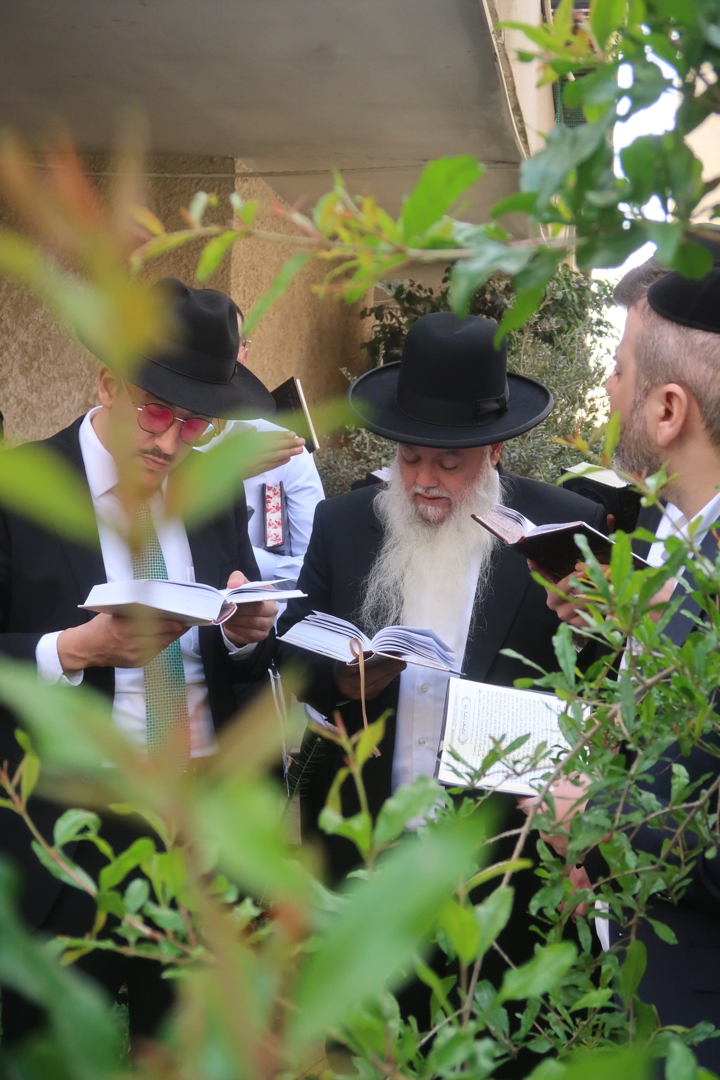 הרב יגאל כהן בברכת האילנות