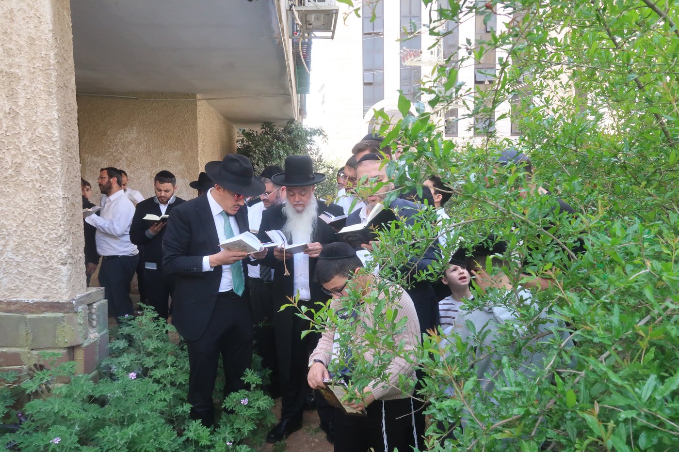 הרב יגאל כהן בברכת האילנות