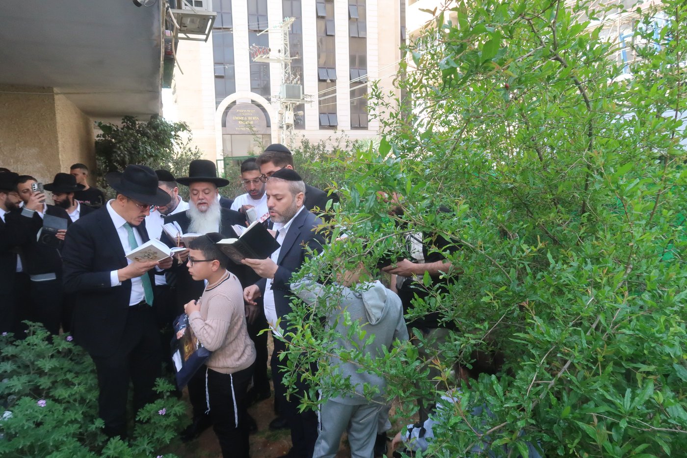 הרב יגאל כהן בברכת האילנות
