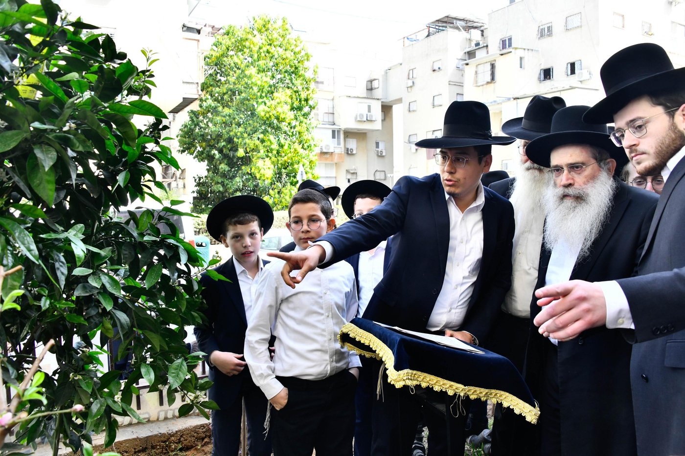 הגר"ש שטיינמן בברכת האילנות