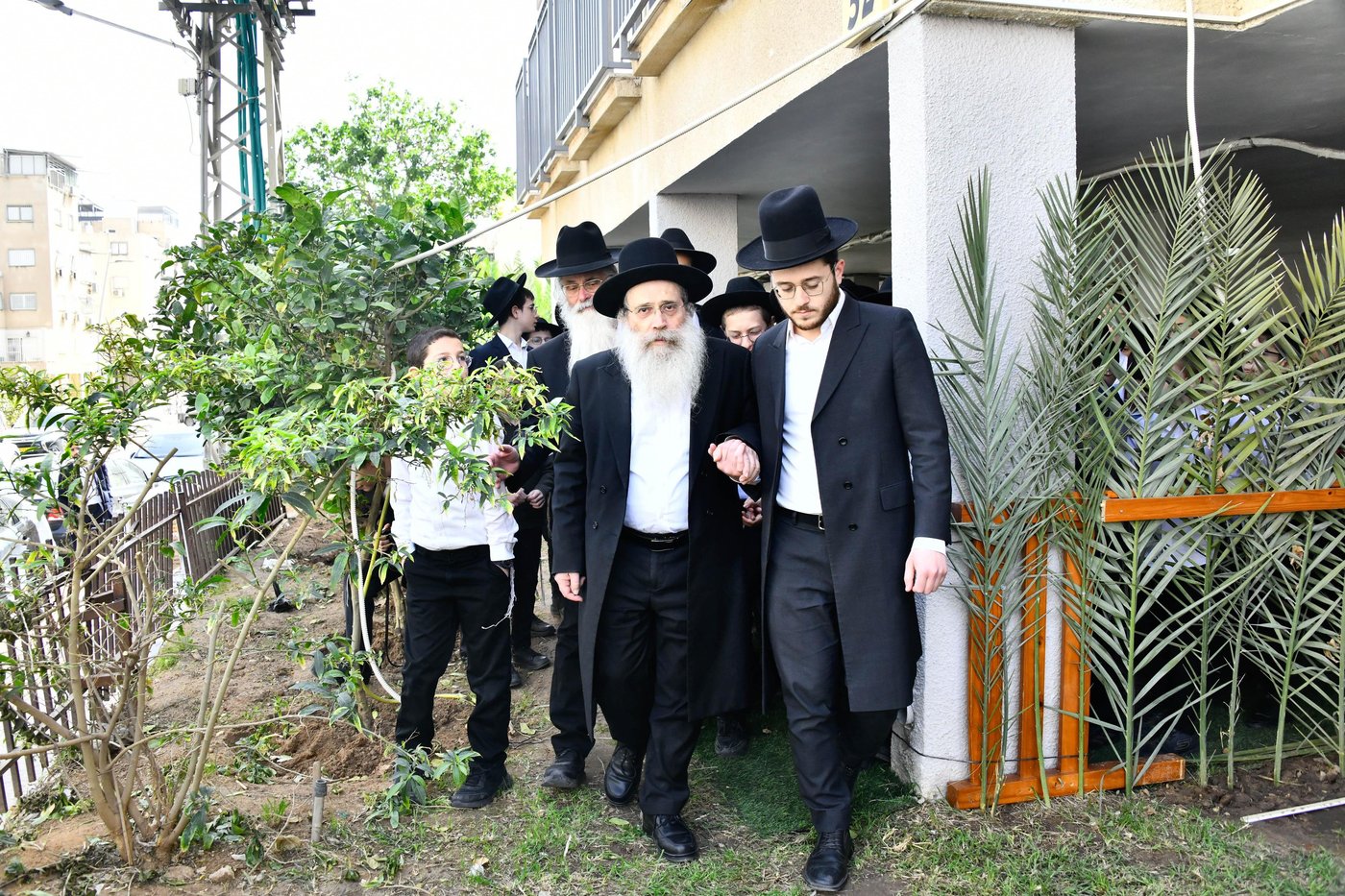 הגר"ש שטיינמן בברכת האילנות