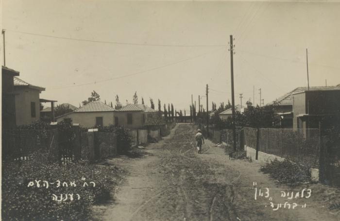 רחוב אחד העם במושבה הצעירה רעננה