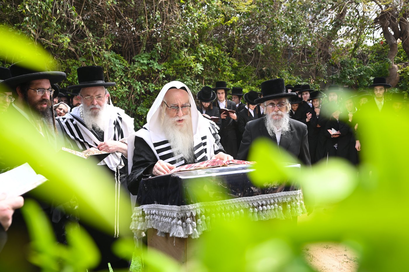 האדמו"ר מצאנז בברכת האילנות