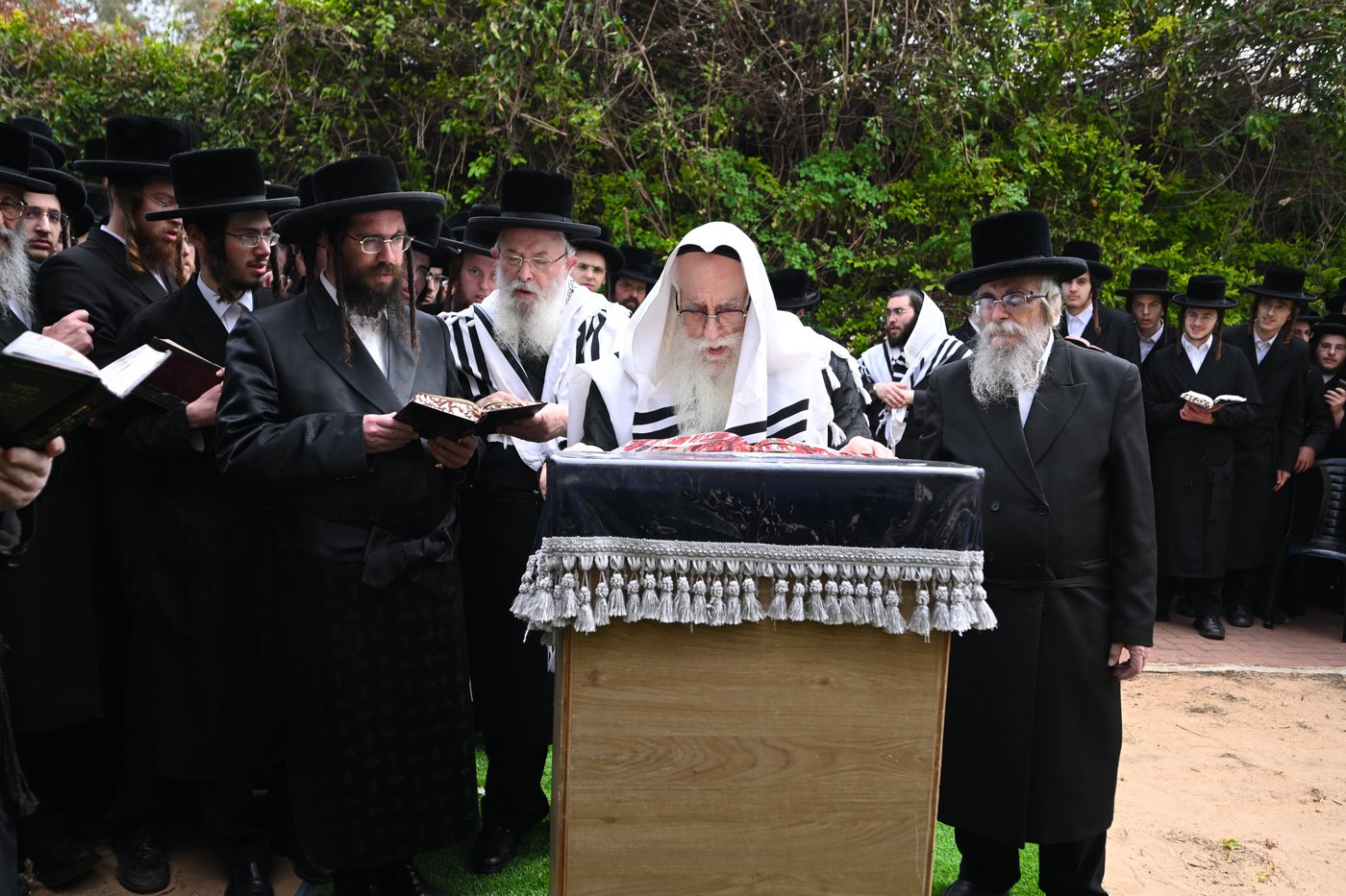 האדמו"ר מצאנז בברכת האילנות