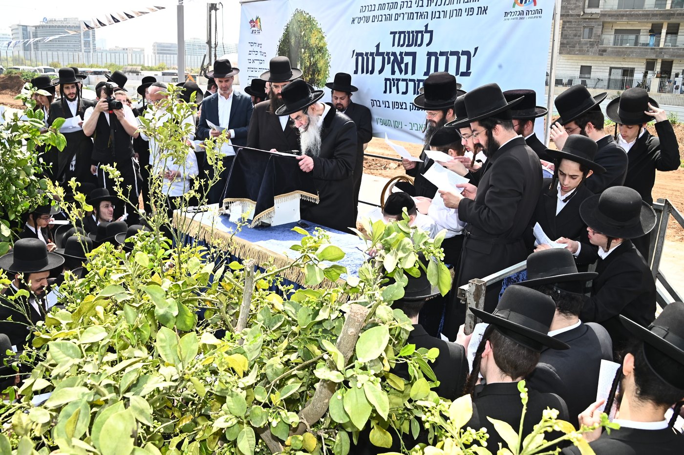 ברכת האילנות במתחם הסופרים בב"ב