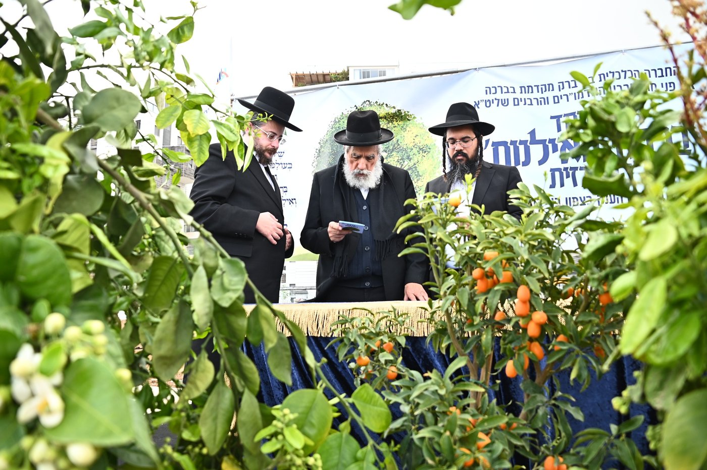 ברכת האילנות במתחם הסופרים בב"ב