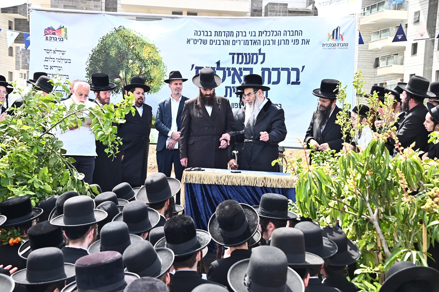 האדמו"ר מאלכסנדר בברכת האילנות במתחם הסופרים בב"ב
