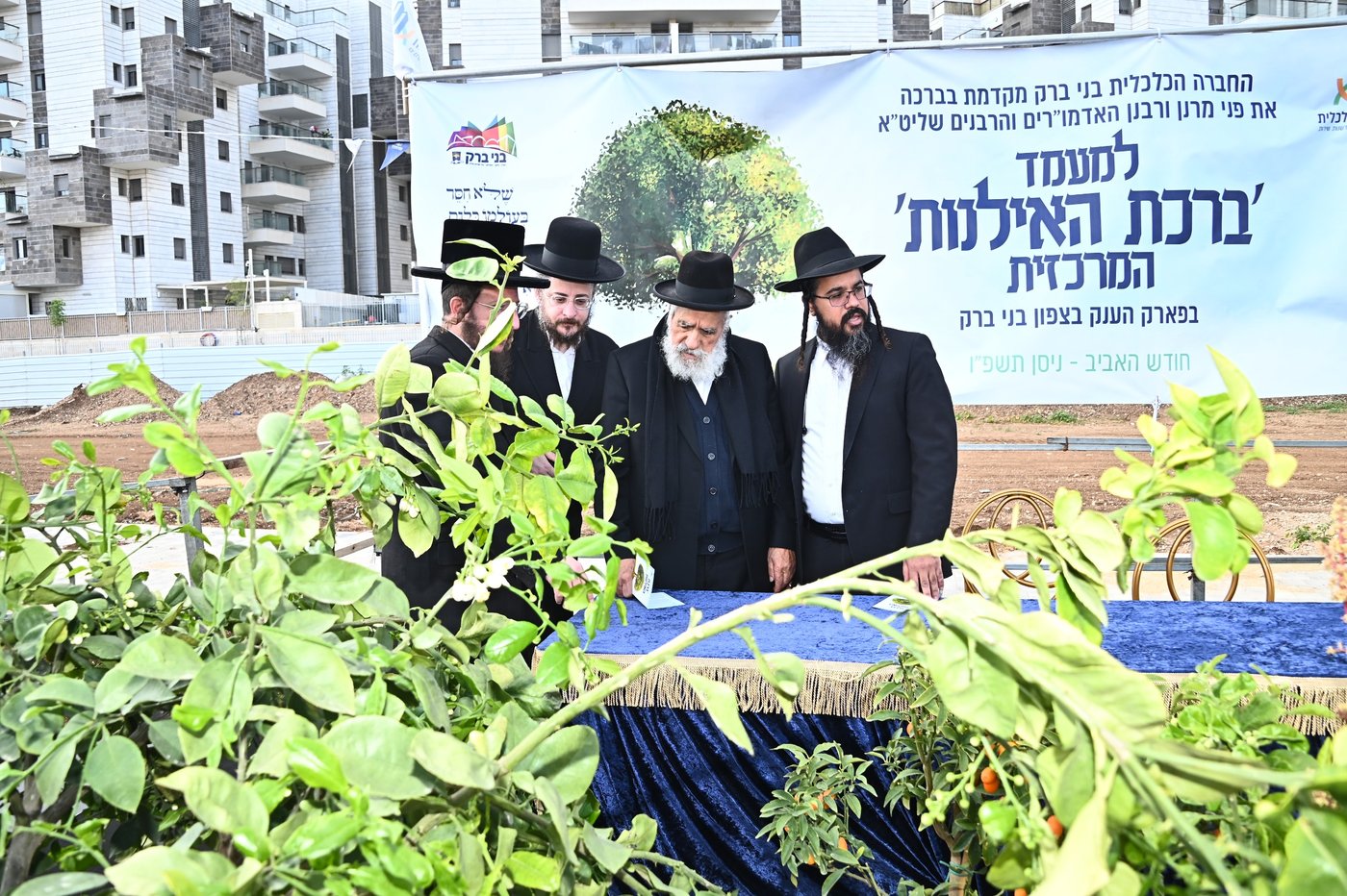 הגר"ש מחפוד בברכת האילנות במתחם הסופרים בב"ב