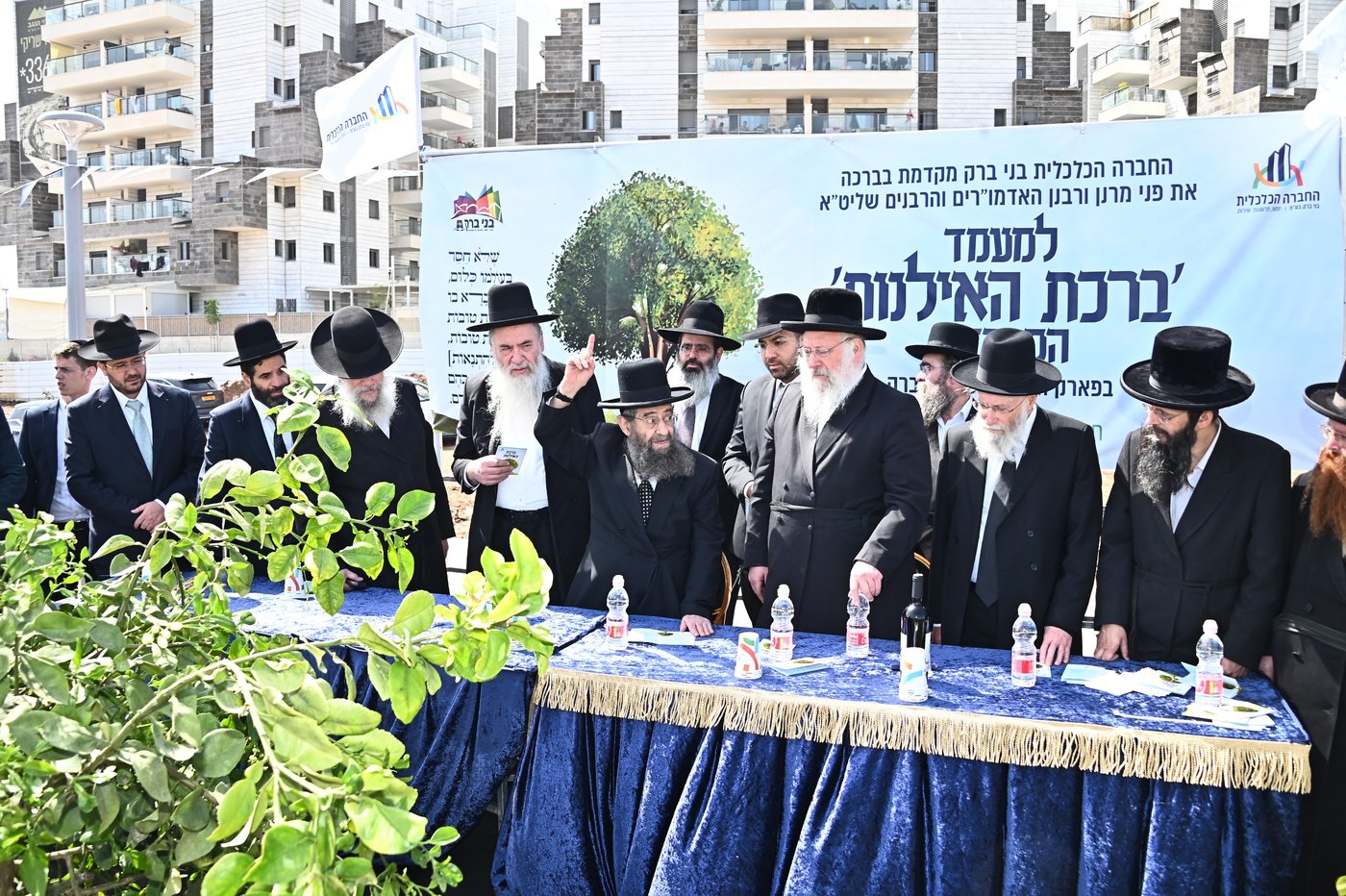 ברכת האילנות במתחם הסופרים בב"ב