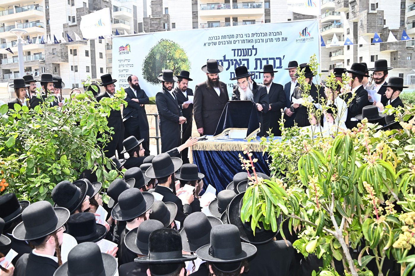 ברכת האילנות במתחם הסופרים בב"ב