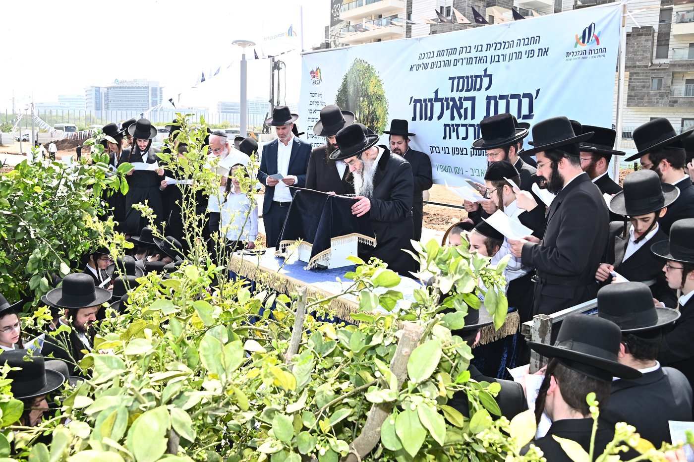 ברכת האילנות במתחם הסופרים בב"ב