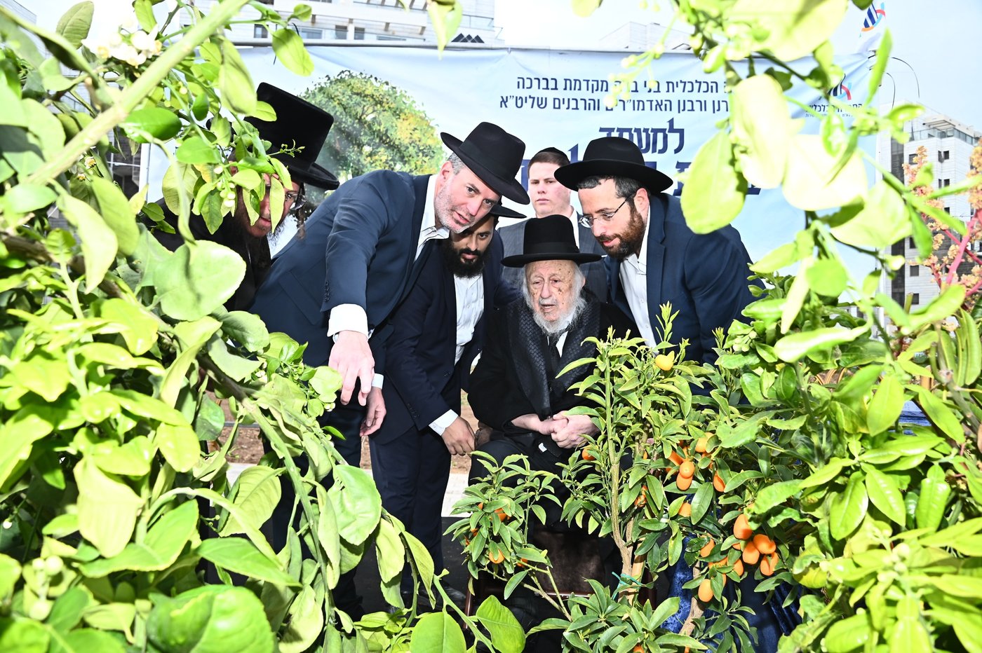 ברכת האילנות במתחם הסופרים בב"ב