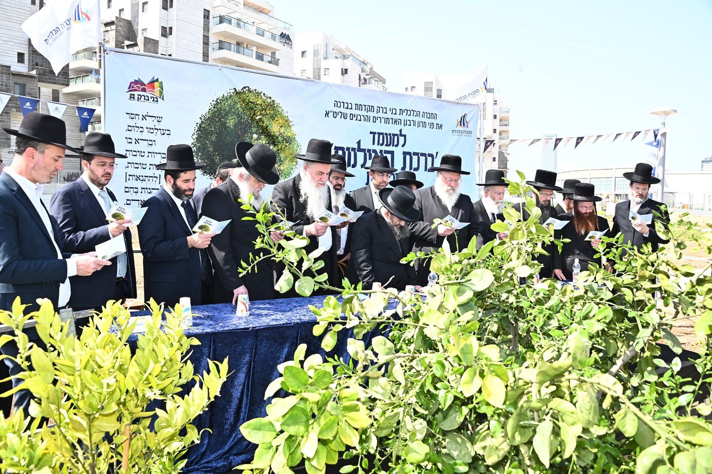 ברכת האילנות במתחם הסופרים בב"ב