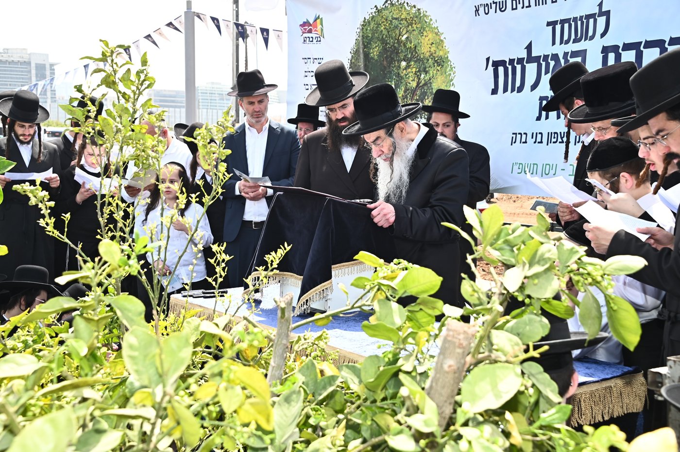 ברכת האילנות במתחם הסופרים בב"ב