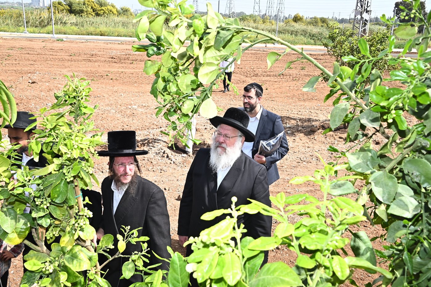 ברכת האילנות במתחם הסופרים בב"ב