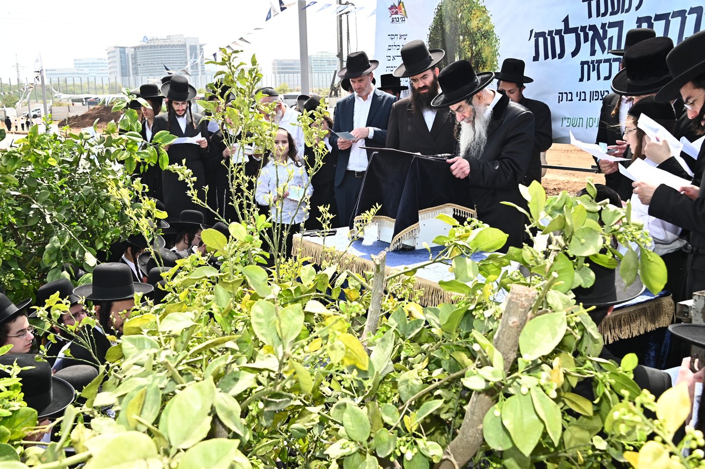 ברכת האילנות במתחם הסופרים בב"ב