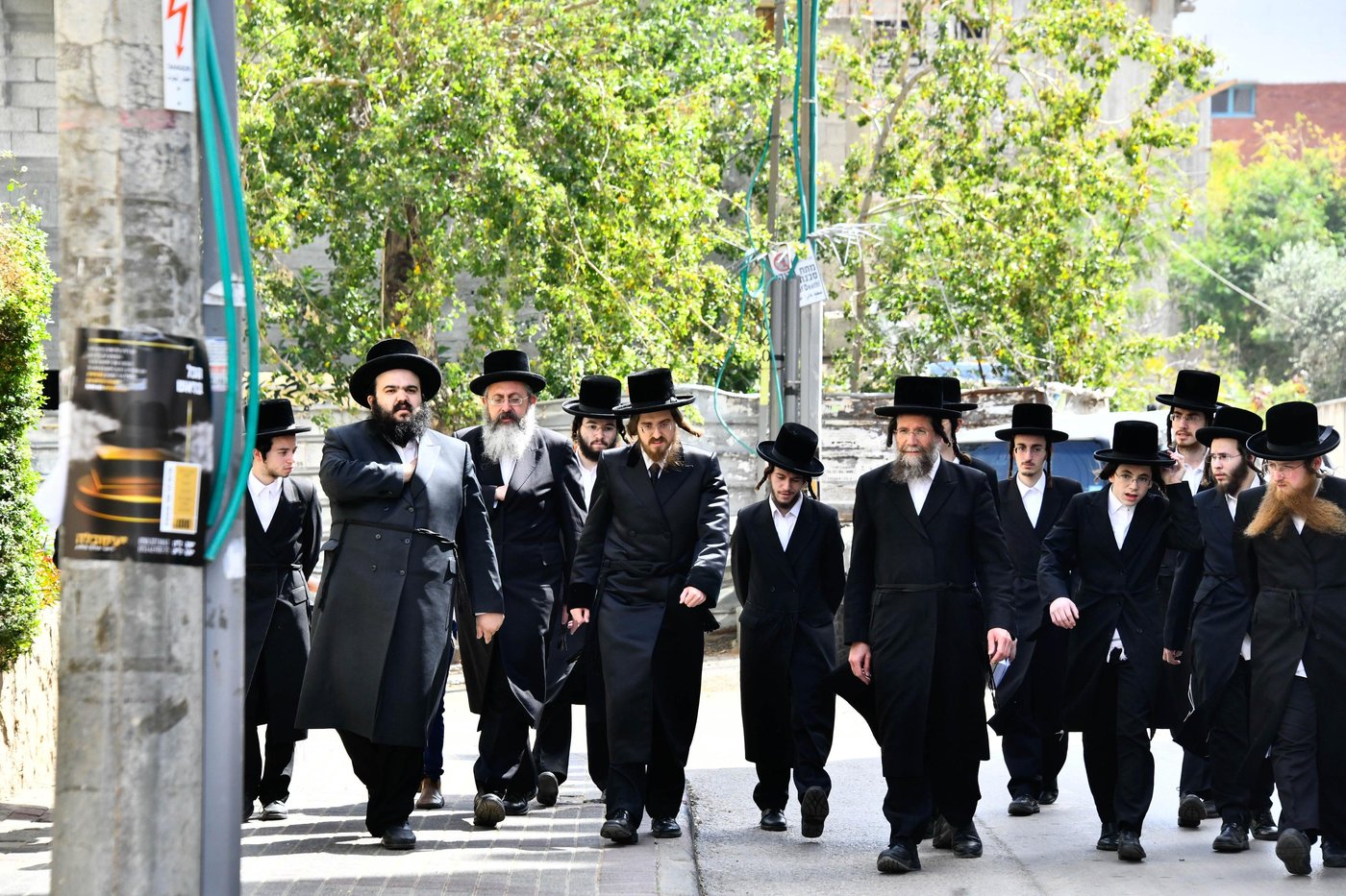 האדמו"ר מסאדיגורה בברכת האילנות 