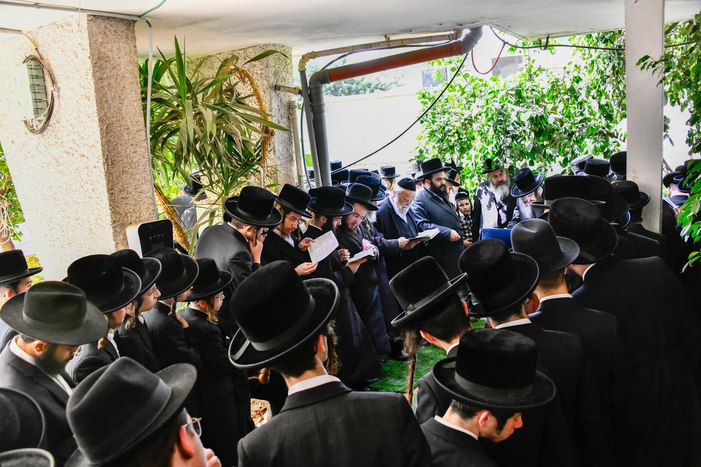 האדמו"ר מסאדיגורה בברכת האילנות 