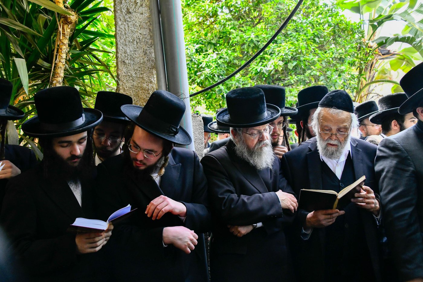האדמו"ר מסאדיגורה בברכת האילנות 