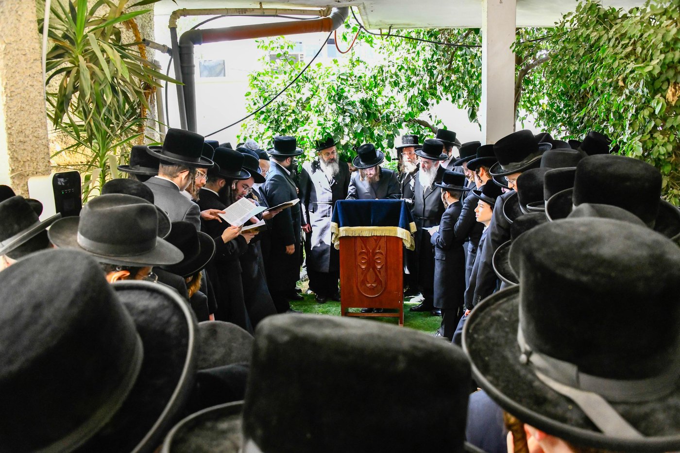 האדמו"ר מסאדיגורה בברכת האילנות 