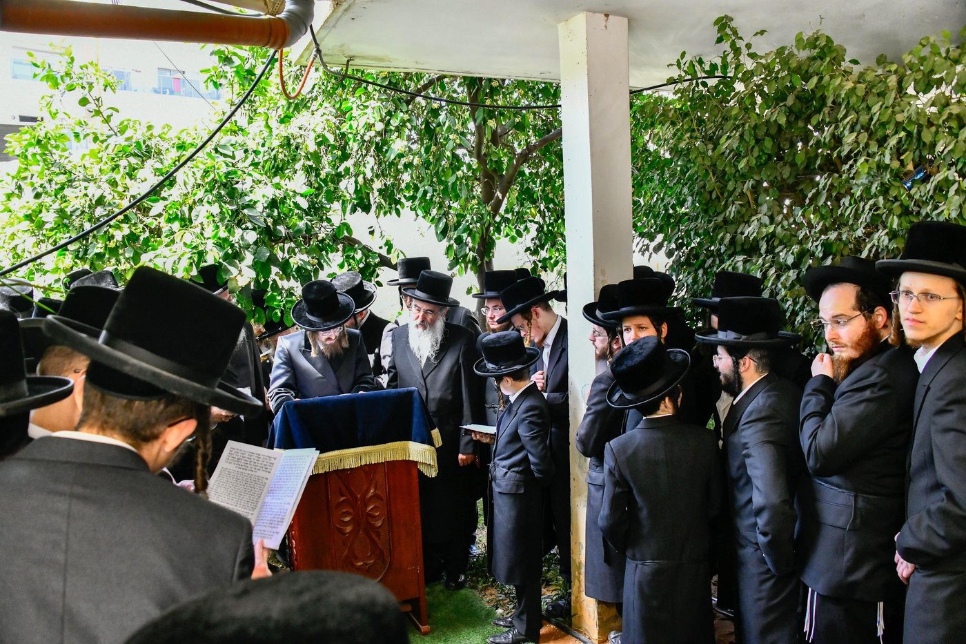 האדמו"ר מסאדיגורה בברכת האילנות 