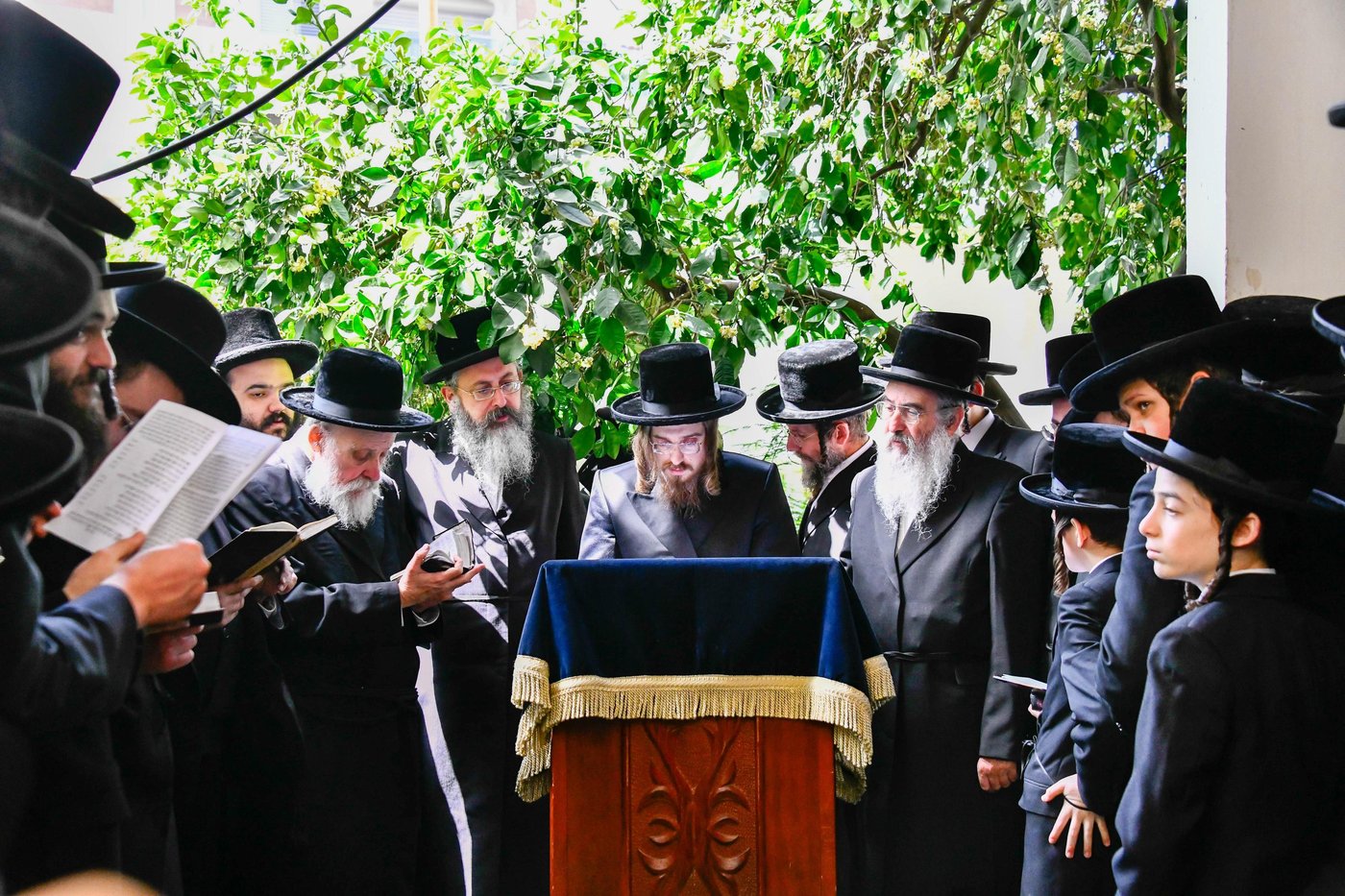 האדמו"ר מסאדיגורה בברכת האילנות 