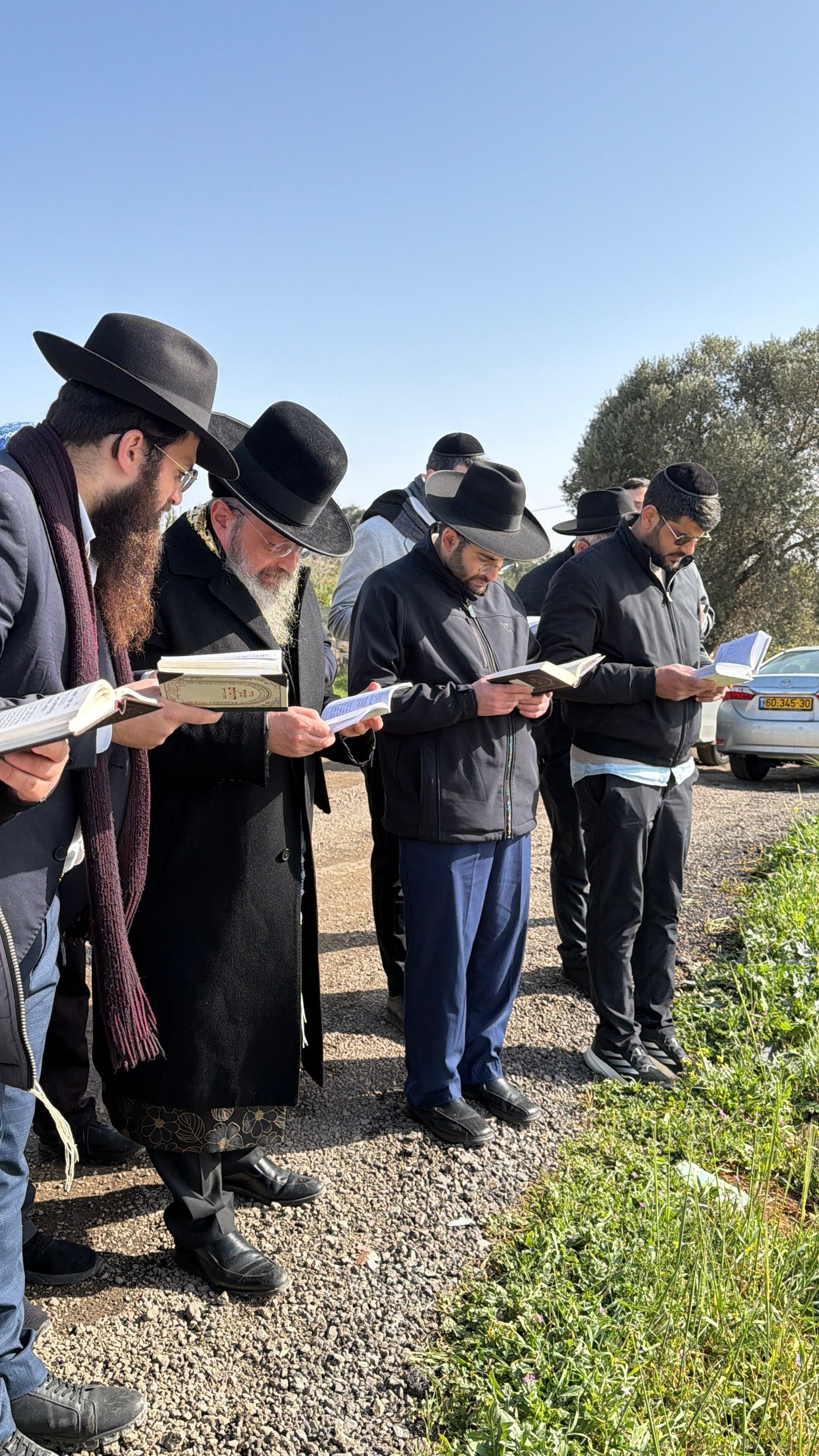 הגאון רבי שלמה בוסו בברכת האילנות