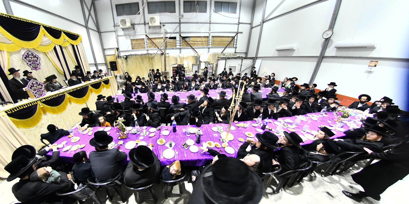 יום הצלה בחצה"ק זוטשקא