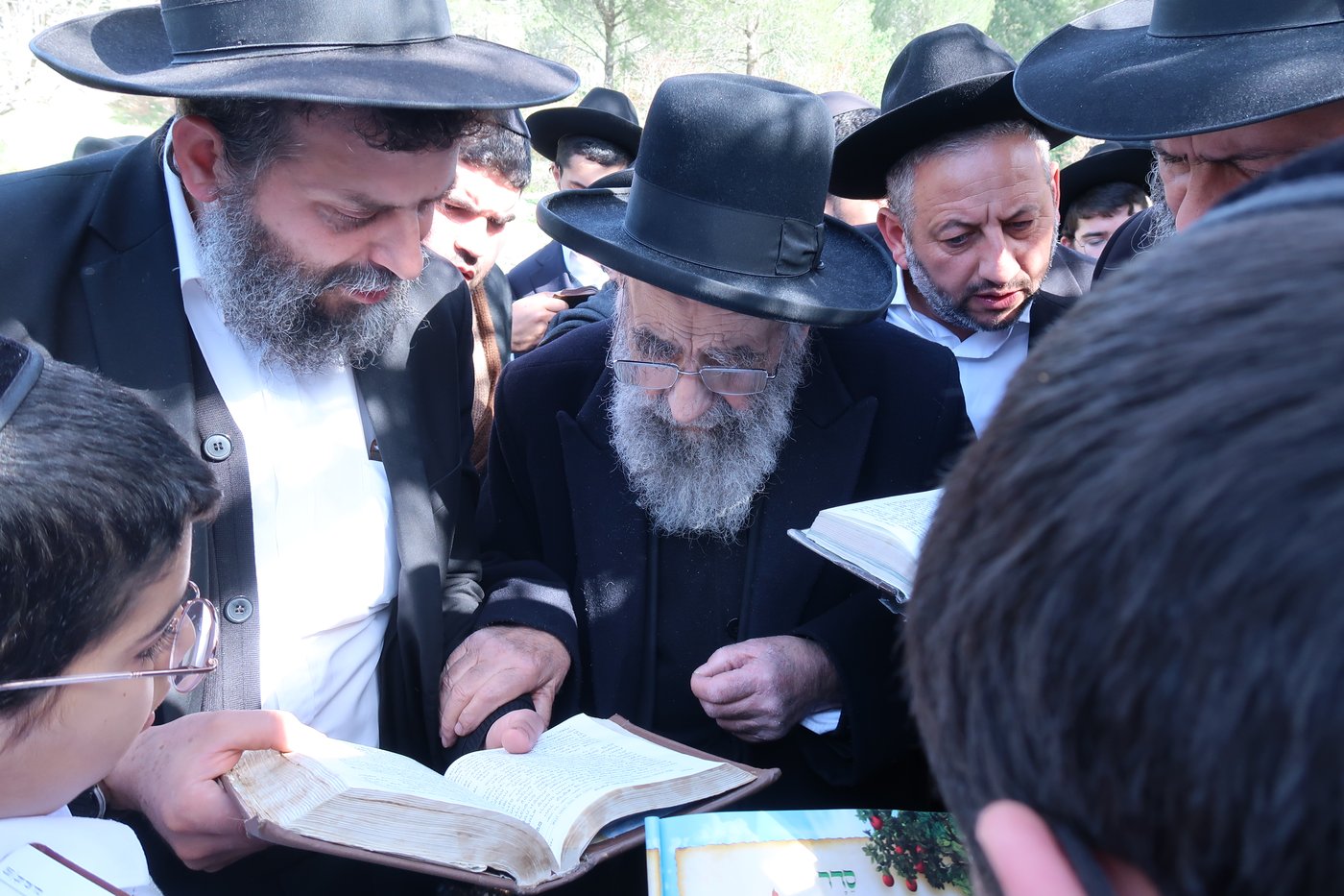 הגאון רבי משה צדקה בברכת האילנות