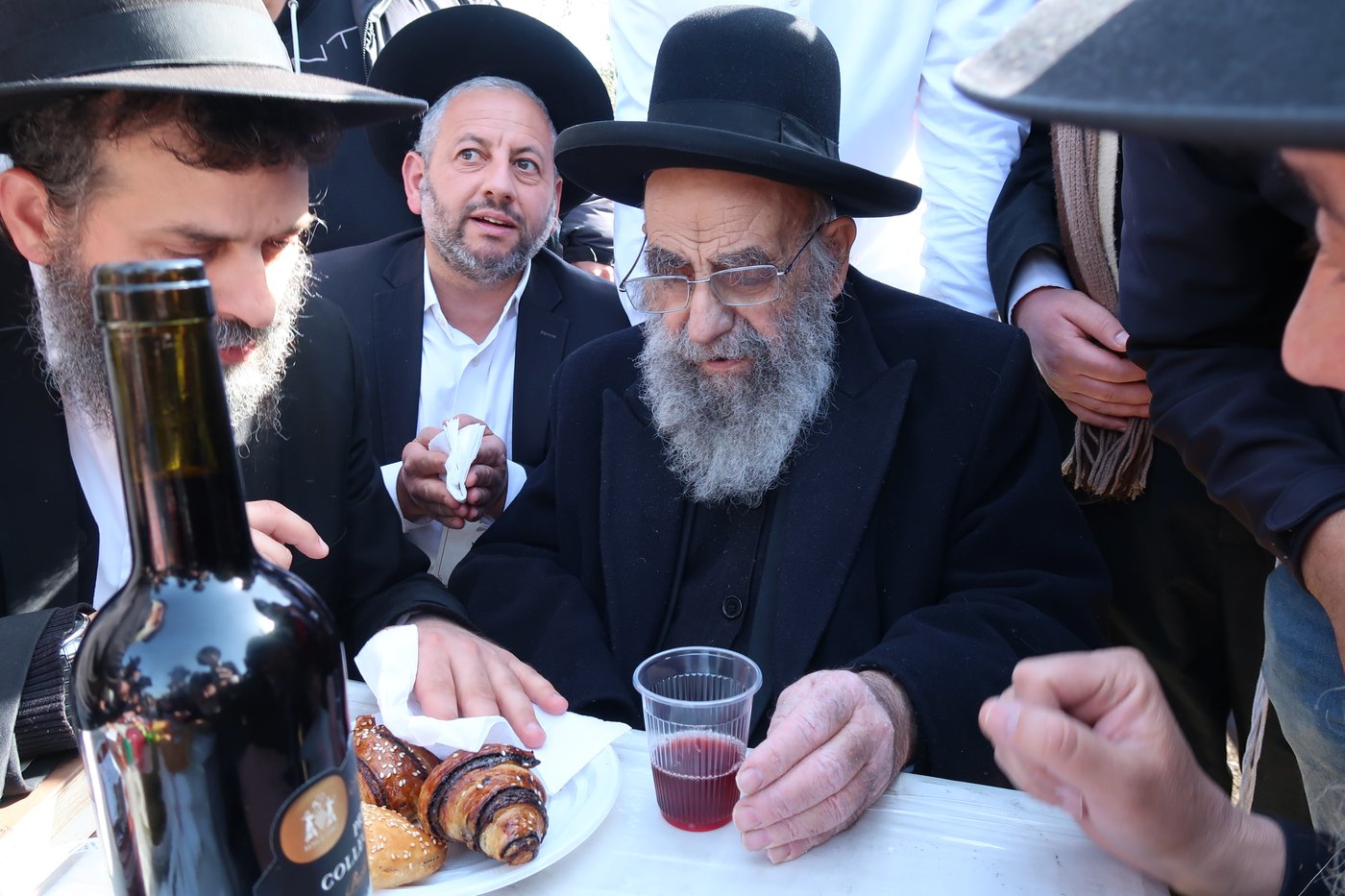 הגאון רבי משה צדקה בברכת האילנות