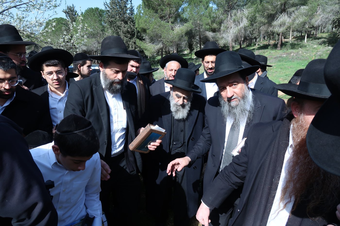 הגאון רבי משה צדקה בברכת האילנות