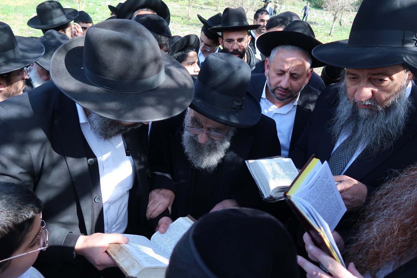 הגאון רבי משה צדקה בברכת האילנות